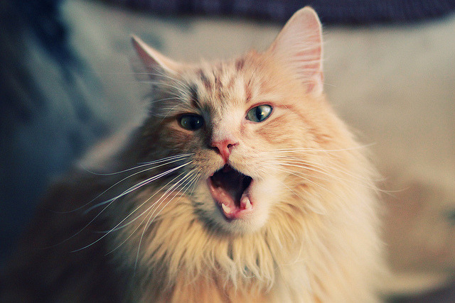 防守强度成制胜关键团队协作成基石，防守工作