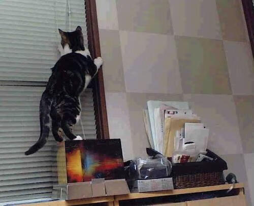 青训过程监测与评估体系缺失，青训水平