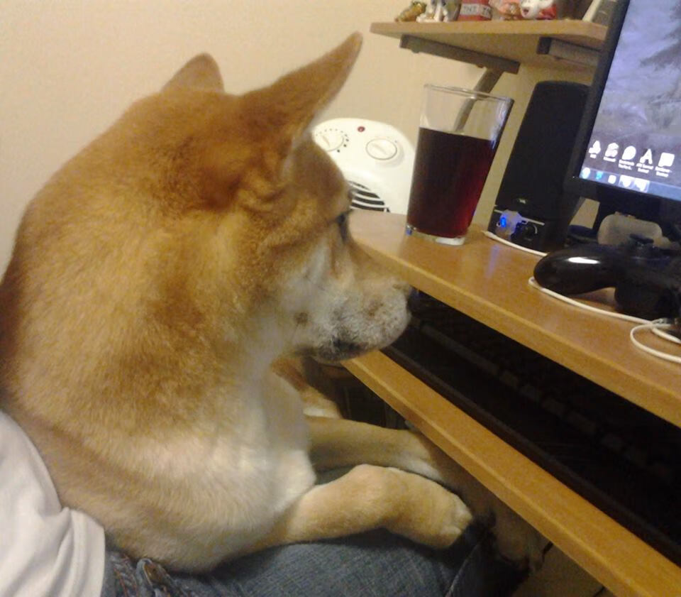 爱游戏中国电竞-仰泳决赛美中澳三强缠斗，仰泳国际比赛视频